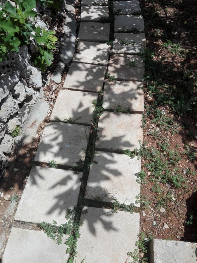 Palacca, Trullo Salentino Andrano Luaran gambar