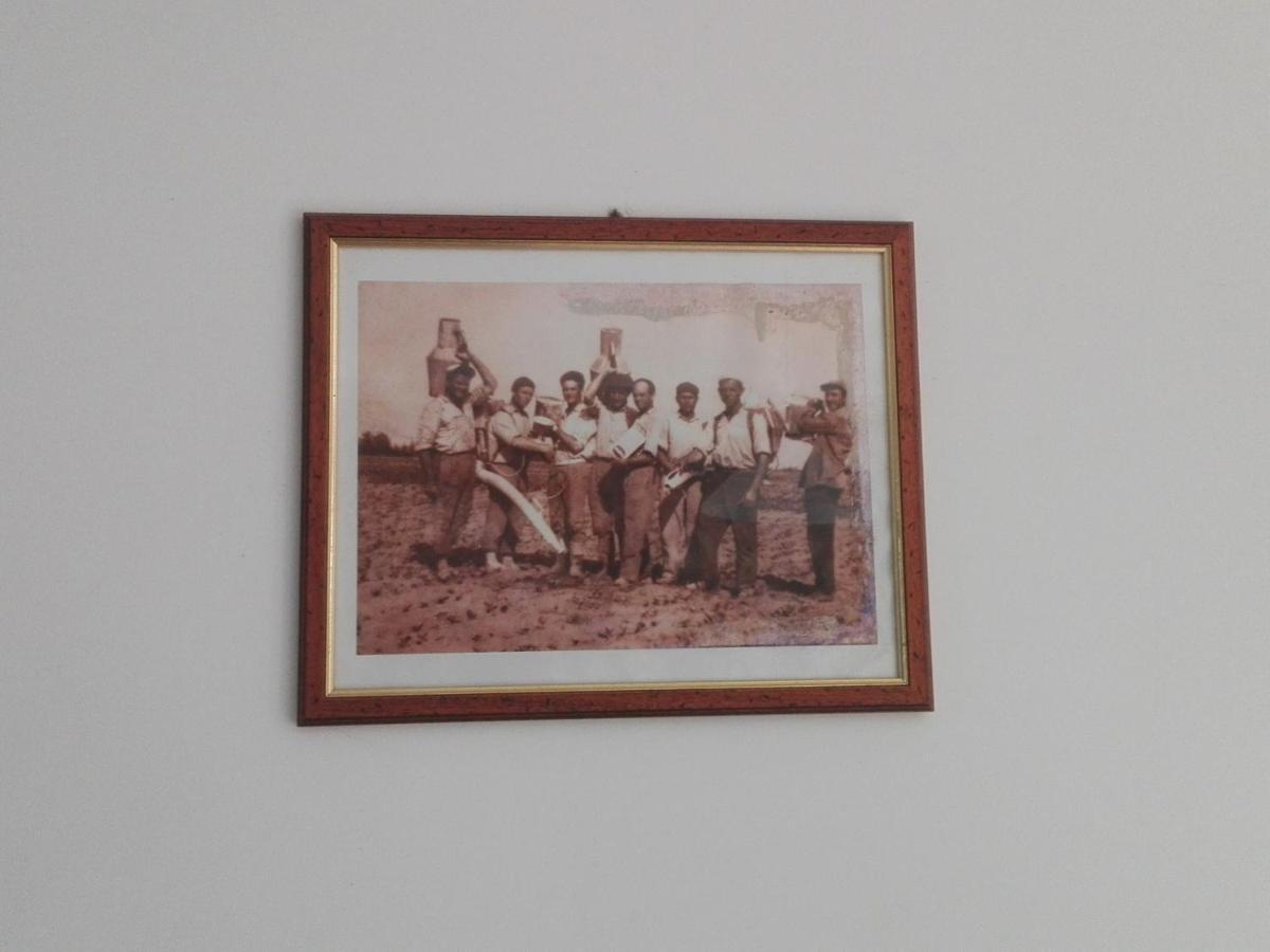 Palacca, Trullo Salentino Andrano Luaran gambar