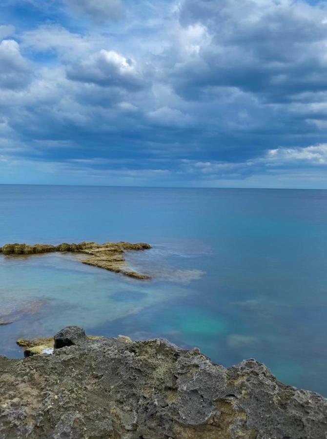 Palacca, Trullo Salentino Andrano Luaran gambar