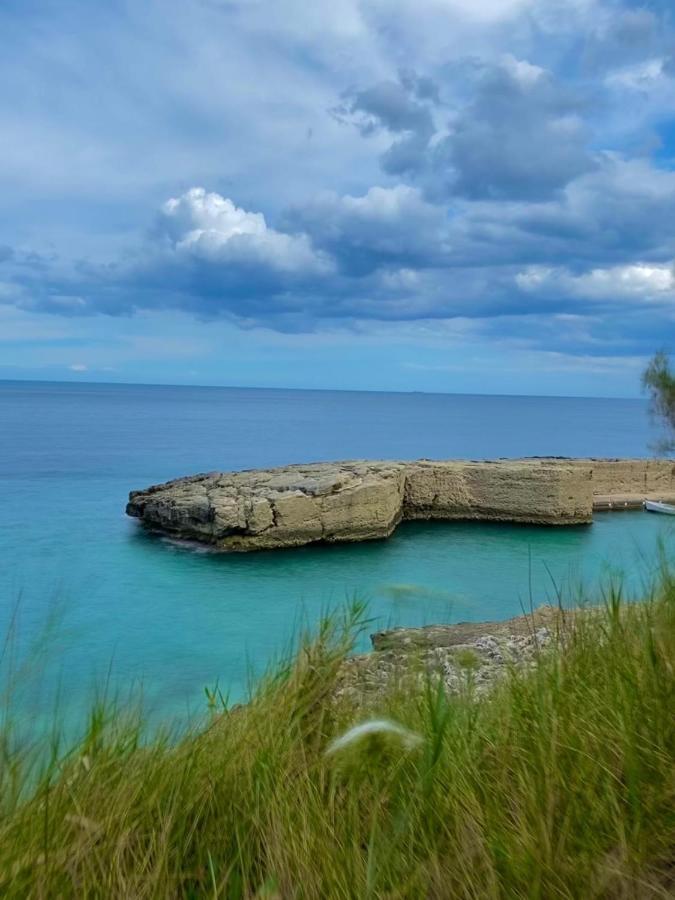 Palacca, Trullo Salentino Andrano Luaran gambar