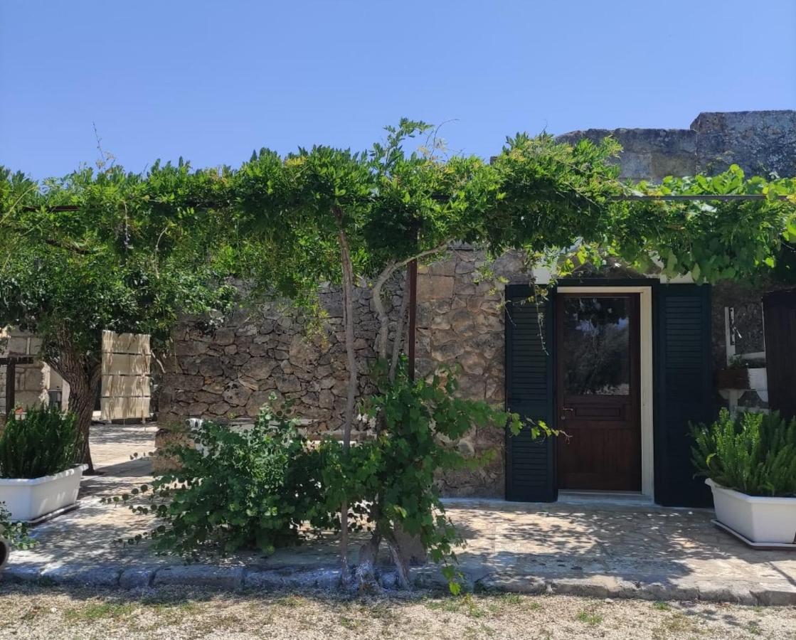 Palacca, Trullo Salentino Andrano Luaran gambar