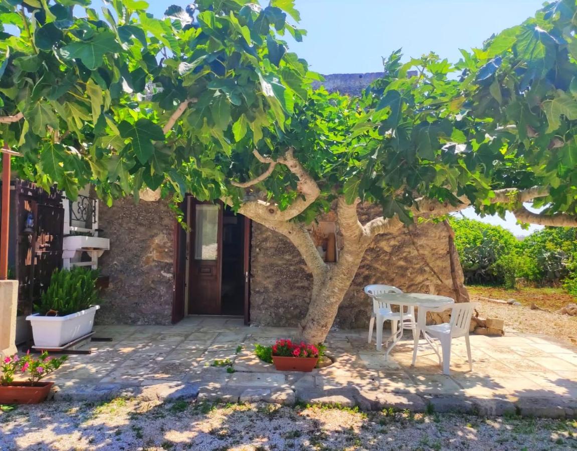 Palacca, Trullo Salentino Andrano Luaran gambar