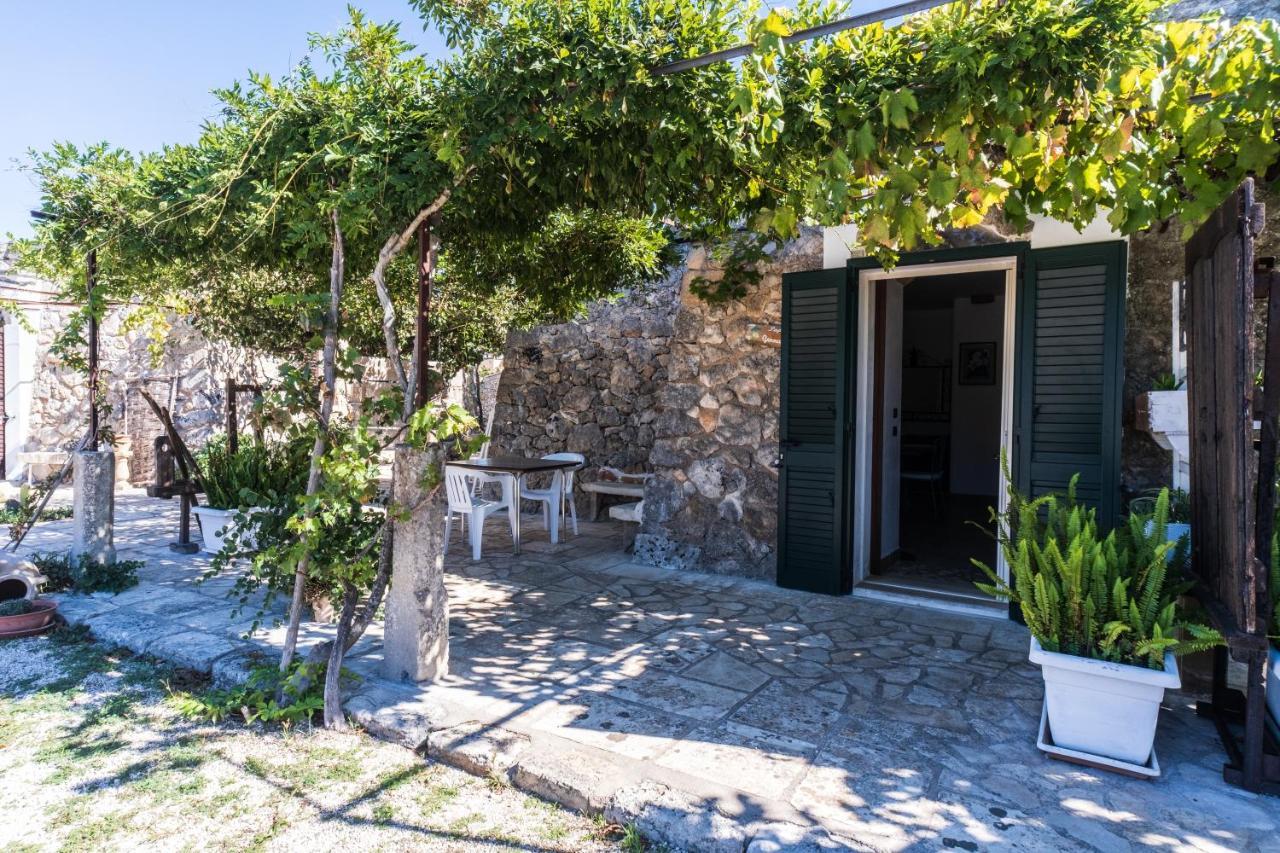 Palacca, Trullo Salentino Andrano Luaran gambar