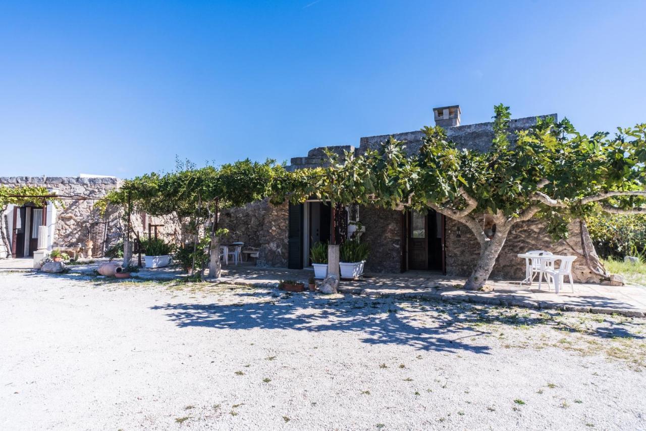Palacca, Trullo Salentino Andrano Luaran gambar