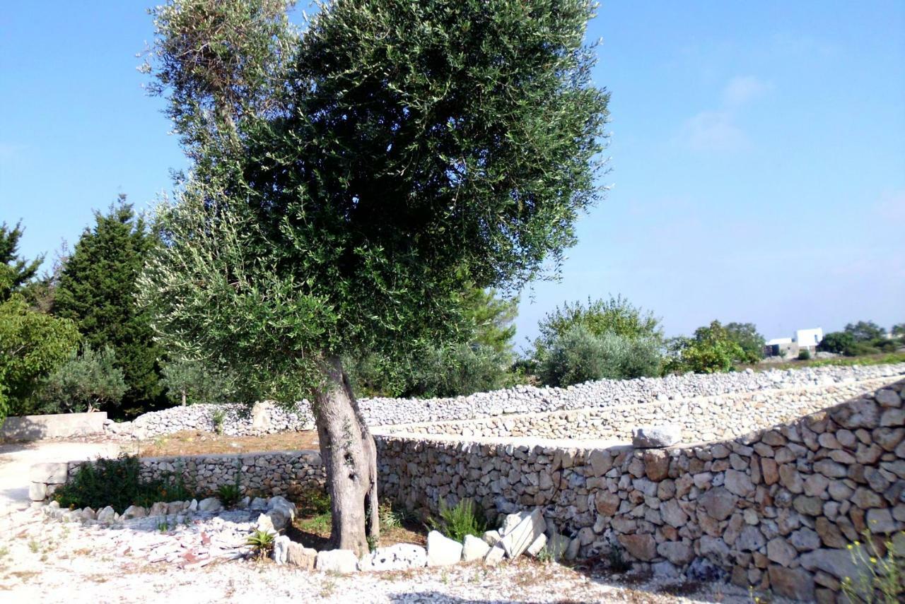Palacca, Trullo Salentino Andrano Luaran gambar